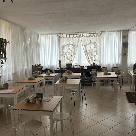 Casa Versilia Hotel Marina di Massa Extérieur photo